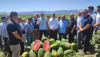 MİLLETVEKİLİ BEKTAŞ VE BAŞKAN USTAOĞLU, ÇİFTÇİLERİN SORUNLARINI DİNLEDİ