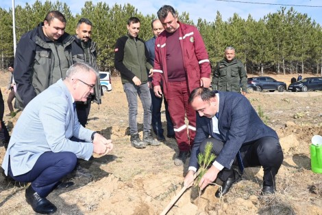 MİLLİ AĞAÇLANDIRMA GÜNÜNDE FİDANLAR TOPRAKLA BULUŞTU