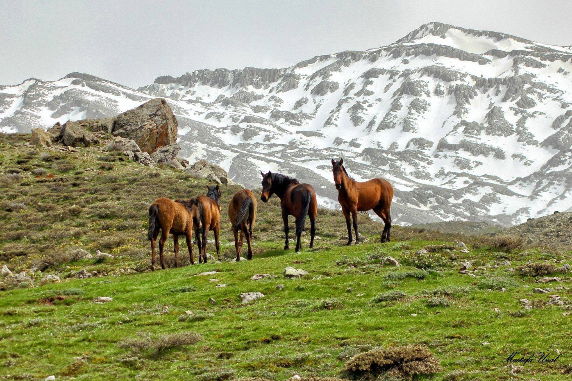 Yozgat Belediyesi